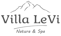 Villa Levi logo